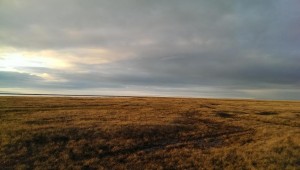PAISAJE