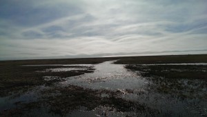 PAISAJE2
