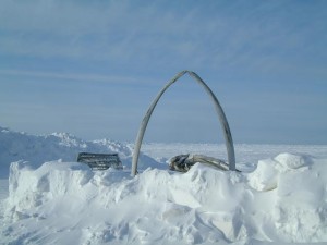 alaska9