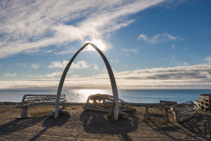 Bowhead whale jaw bone arch with wooden Umiak frames (whale hunting boats) Barrow, Alaska.